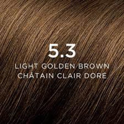 Фіто Фітоколор крем-фарба 5.3 Світлий Золотистий Шатен Phyto Phytocolor 5.3  Light Golden Brown