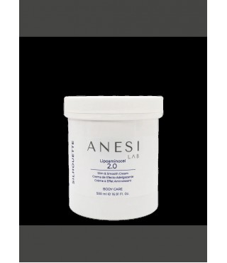 ANESI LAB Живильний крем з термоактивною дією Silhouette Lipoaminocel 2.0, 500 мл